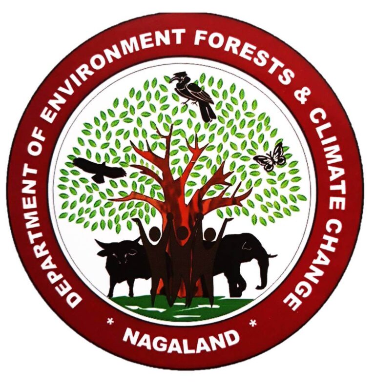department of forest