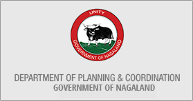 department of planning and coordination nagaland