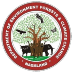 department of forest-min