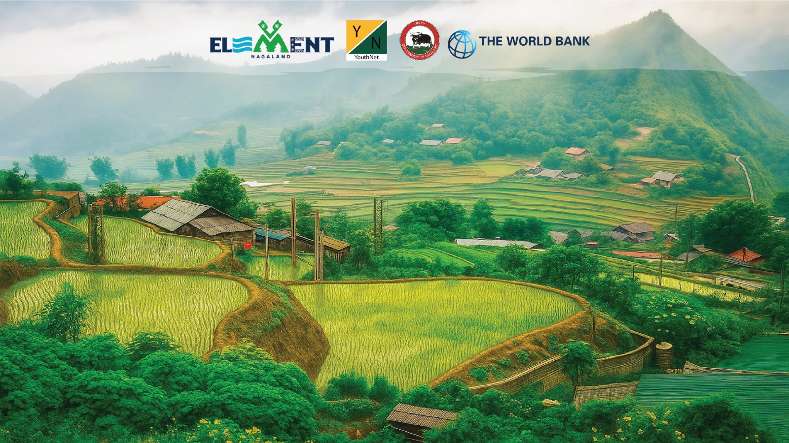 ELEMENT Nagaland